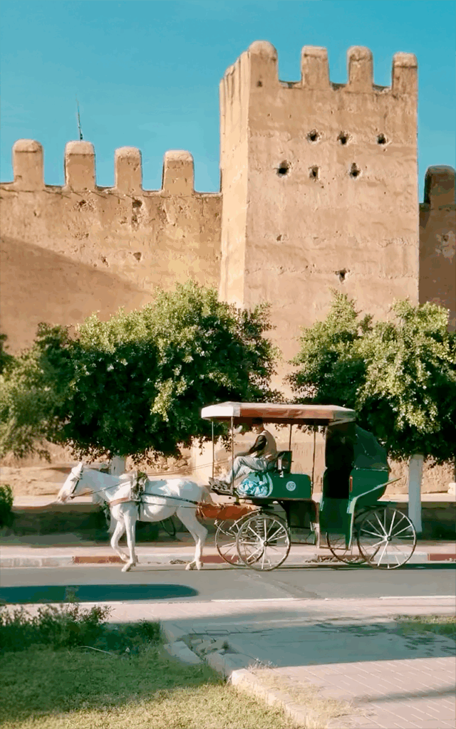 calèche taroudant