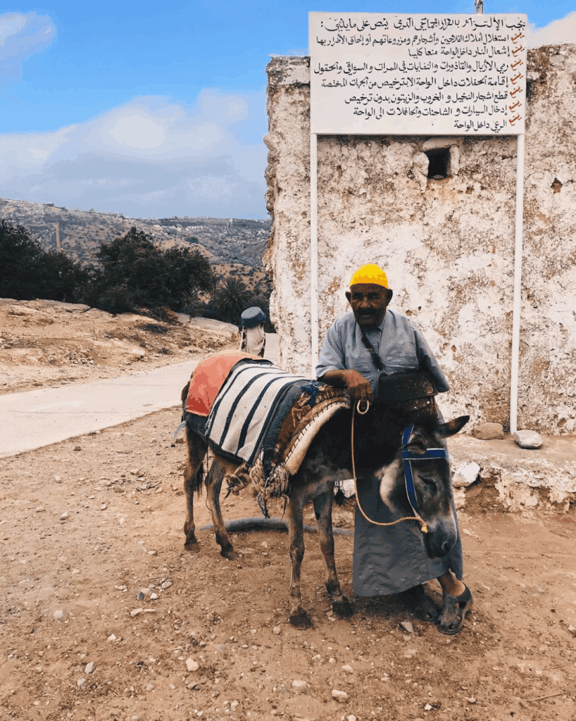 randonnée dans la montagne
